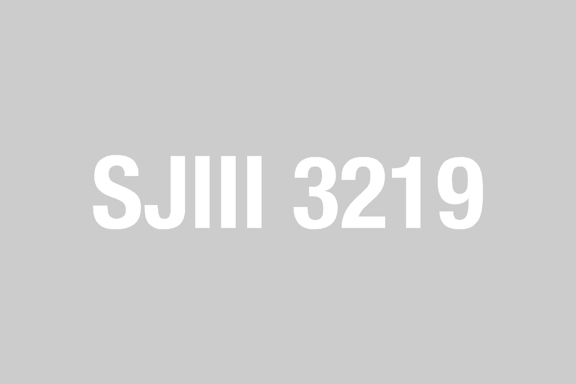 Skyjack Cosmestic Decal P/N 159529