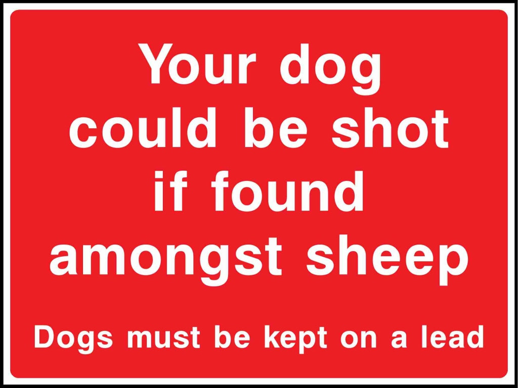 Your dog could be shot if found amongst sheep - Safety Decals Ltd