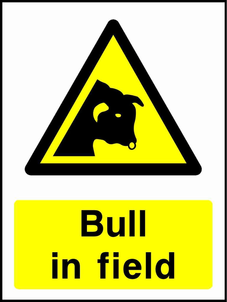 Bull in field - Safety Decals Ltd