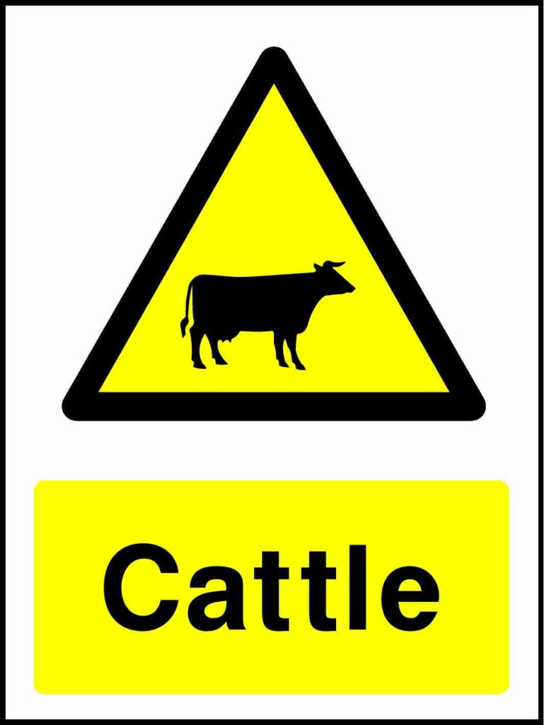 Cattle - Safety Decals Ltd