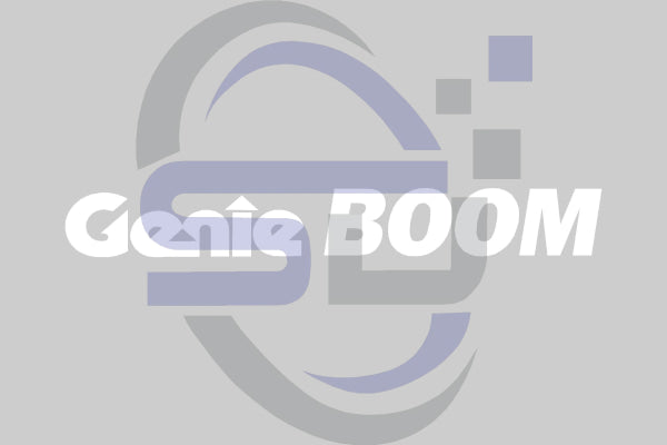 Genie Cosmestic Decal P/N 52969GT Single Decals