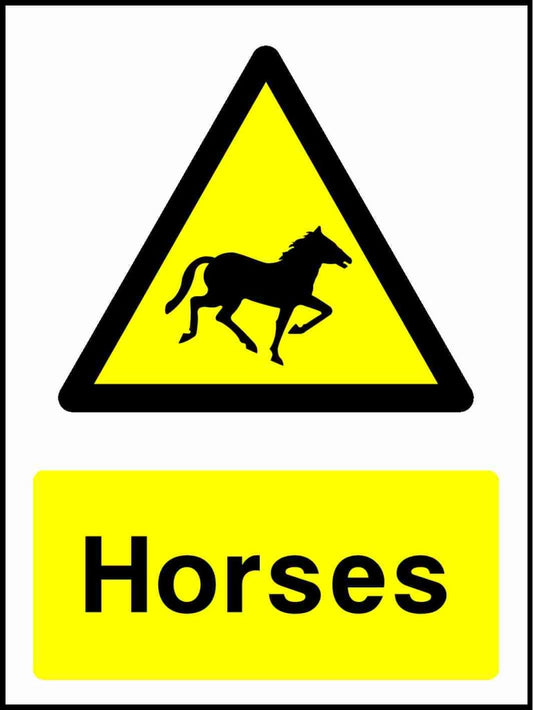 Horses