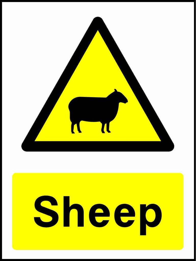 Sheep - Safety Decals Ltd
