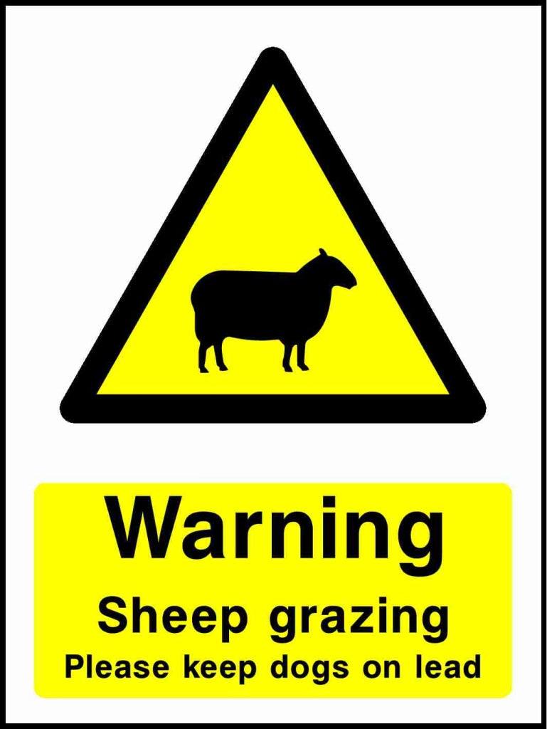 Warning Sheep grazing Please keep dogs on lead - Safety Decals Ltd